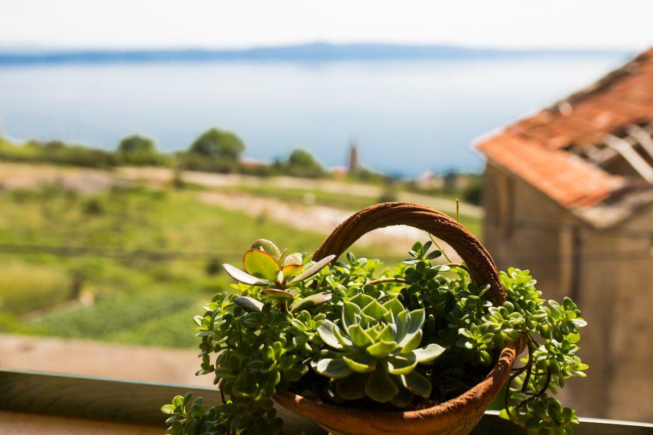 Vila Small House Pivcevi Podgora Exteriér fotografie