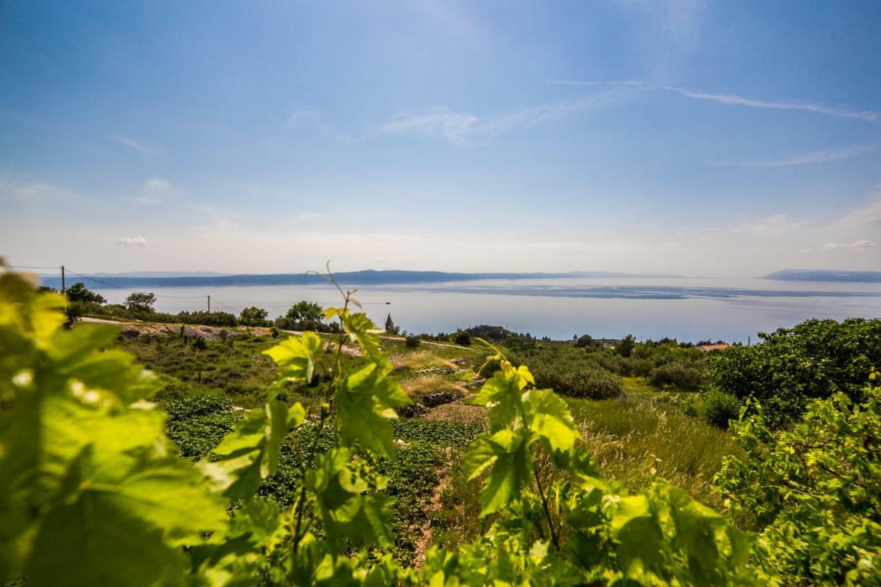 Vila Small House Pivcevi Podgora Exteriér fotografie